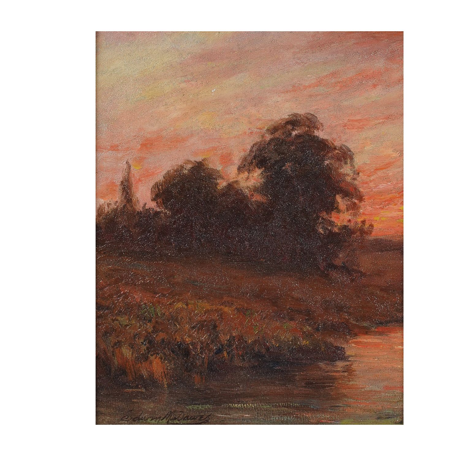 Landscape of Shadowed Trees at Sunset
