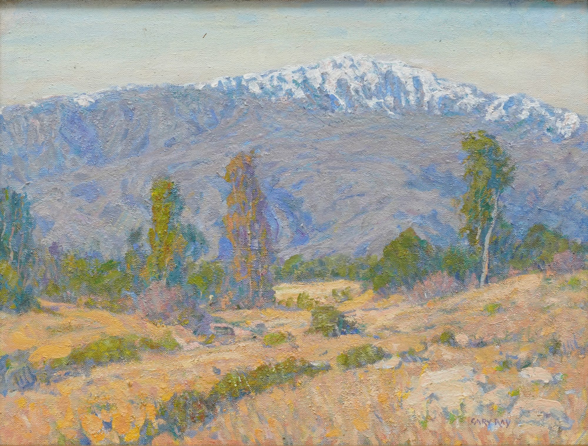 Gary Ray (American, b. 1952): San Jacinto