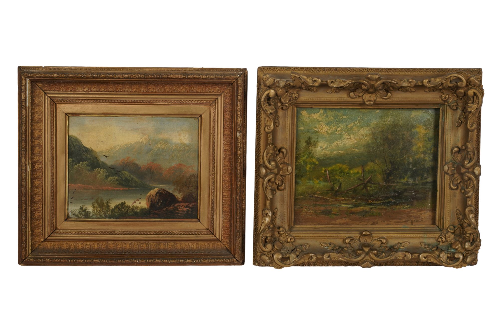 Two Assorted Landscape Paintings