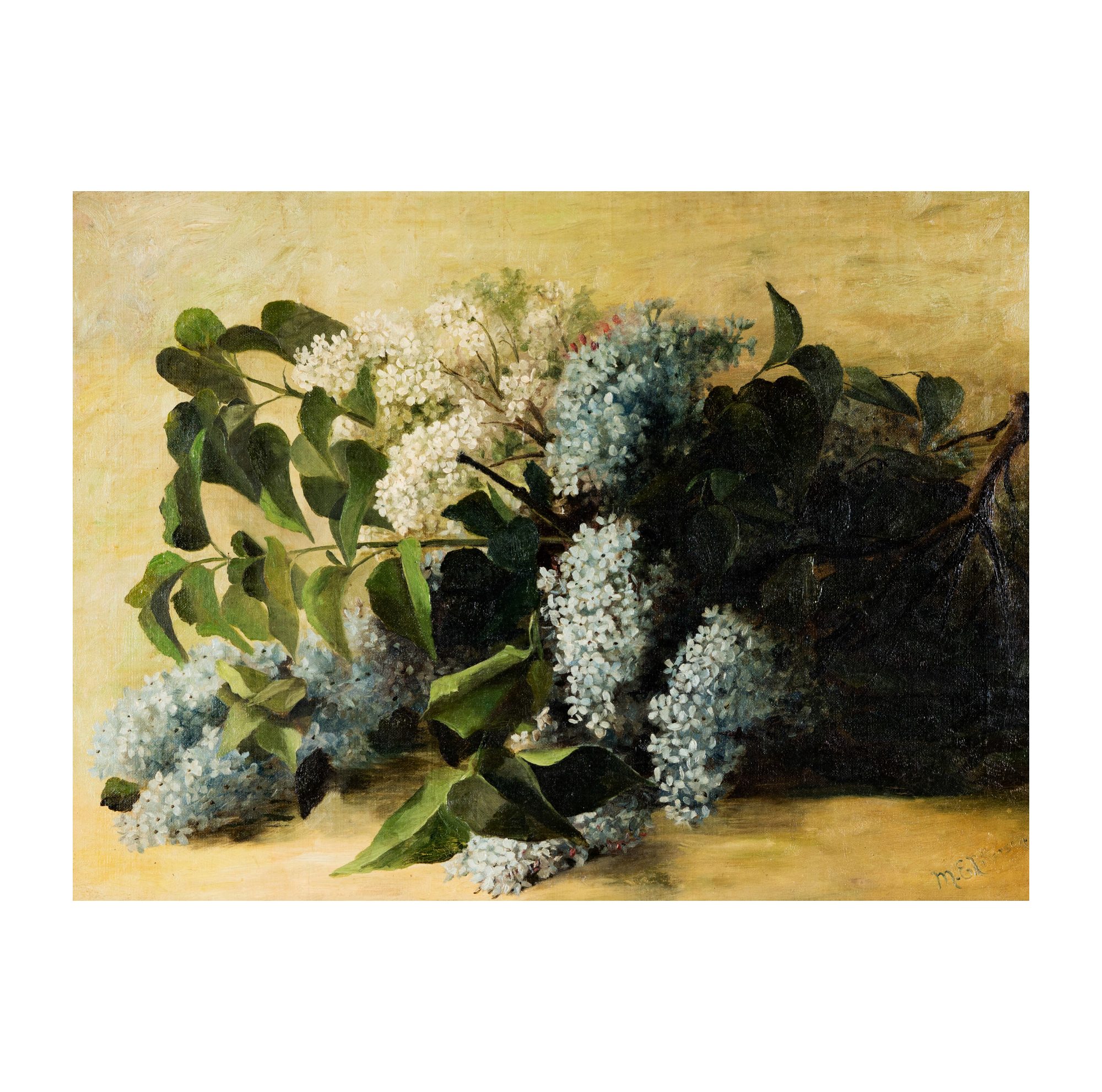 Still Life Painting