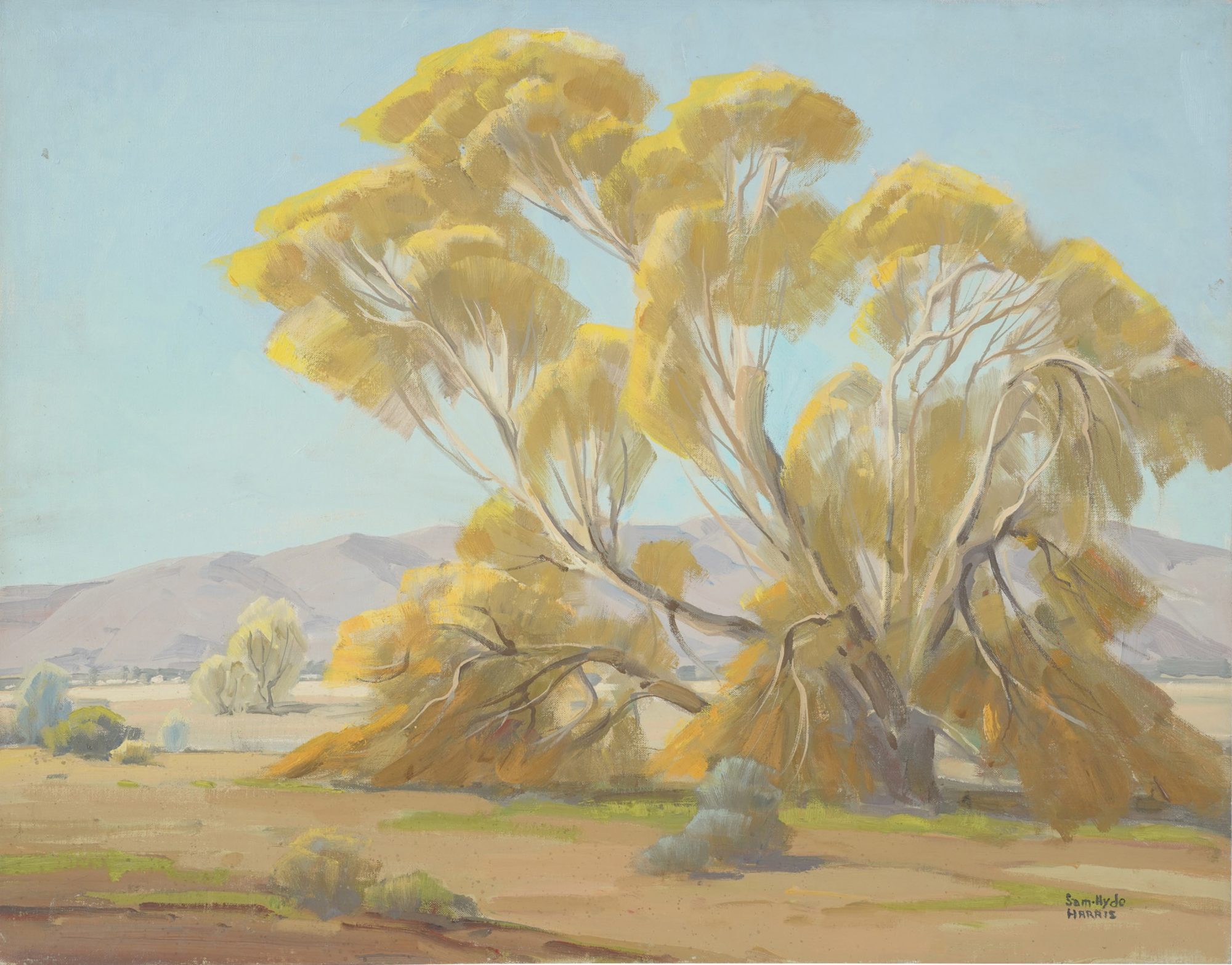 Samuel Hyde Harris (1889-1977): Rugged Individualism