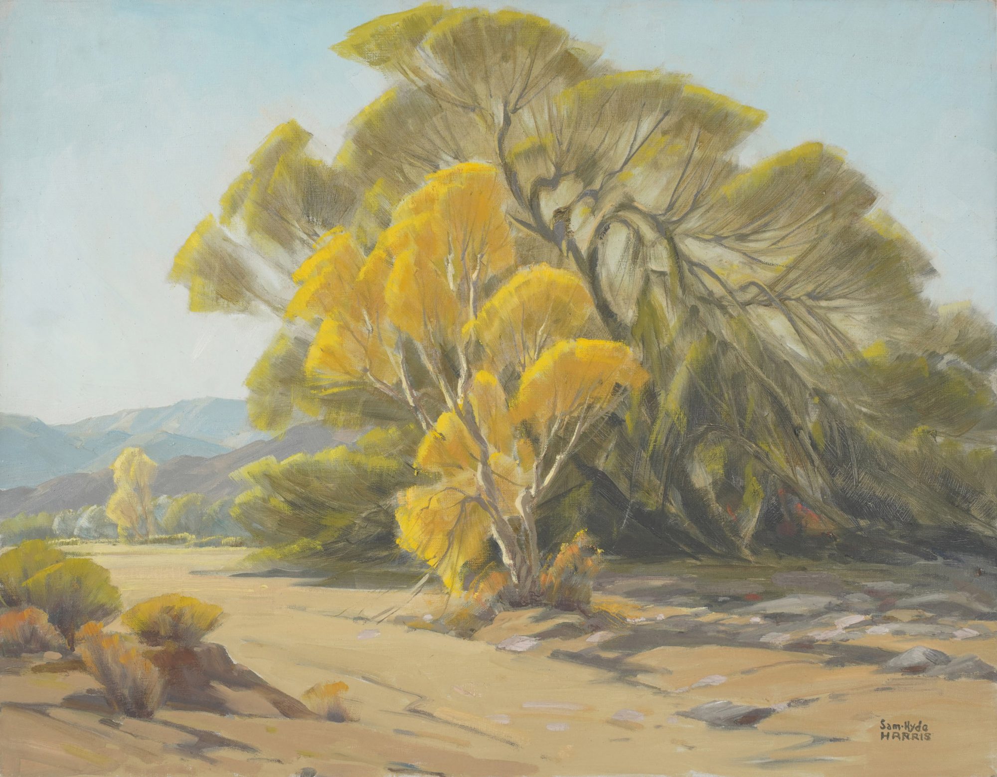 Samuel Hyde Harris (1889-1977): Golden Morning