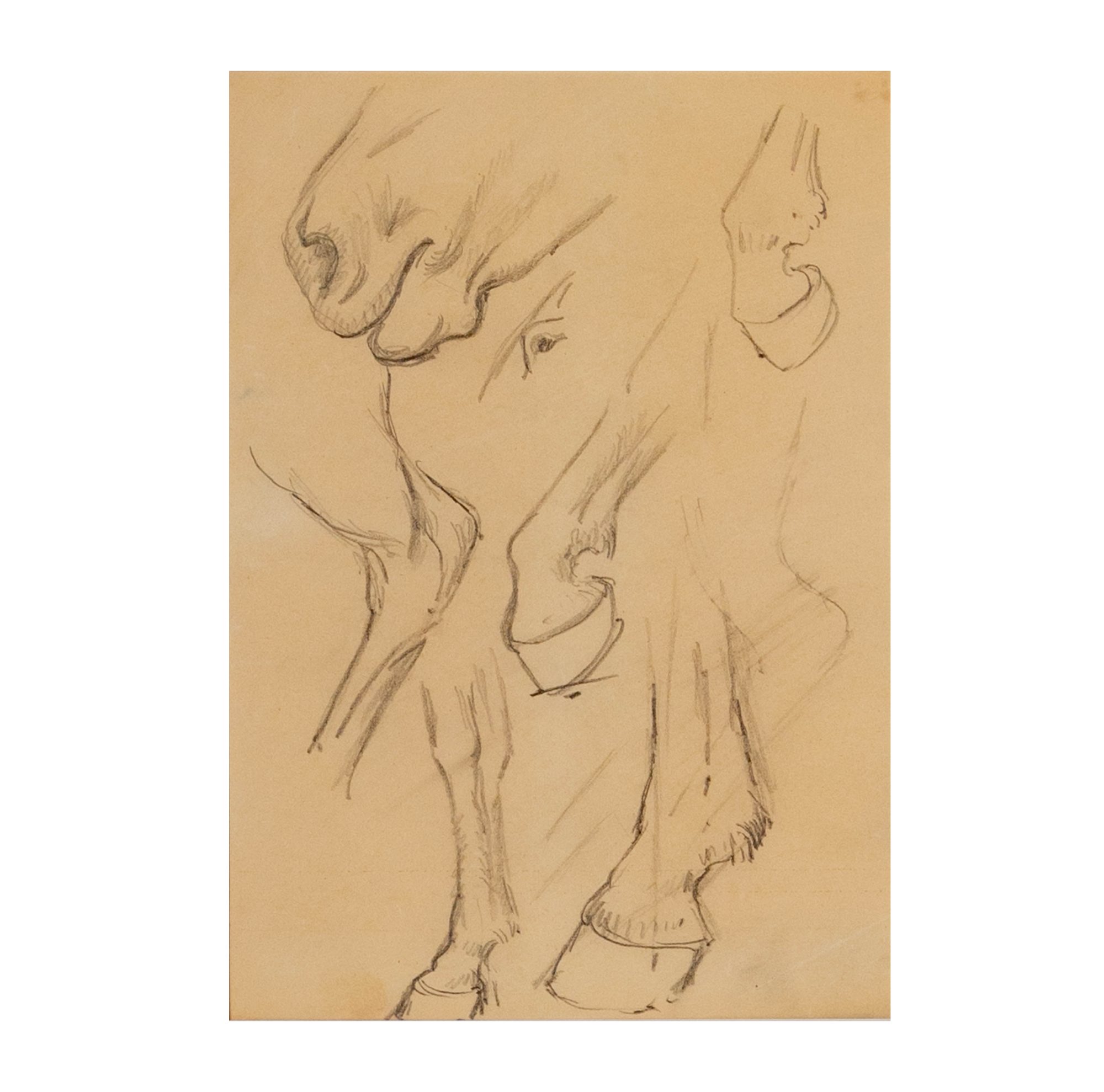 Edgar Payne: Study of Unshod Navajo Horses