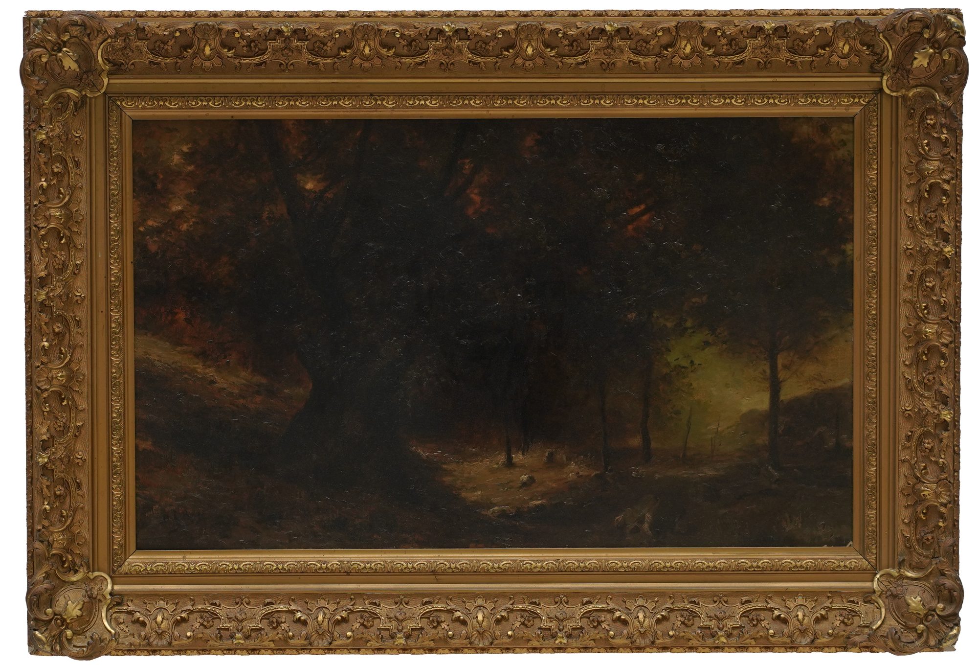 Continental School Forrest Landscape
