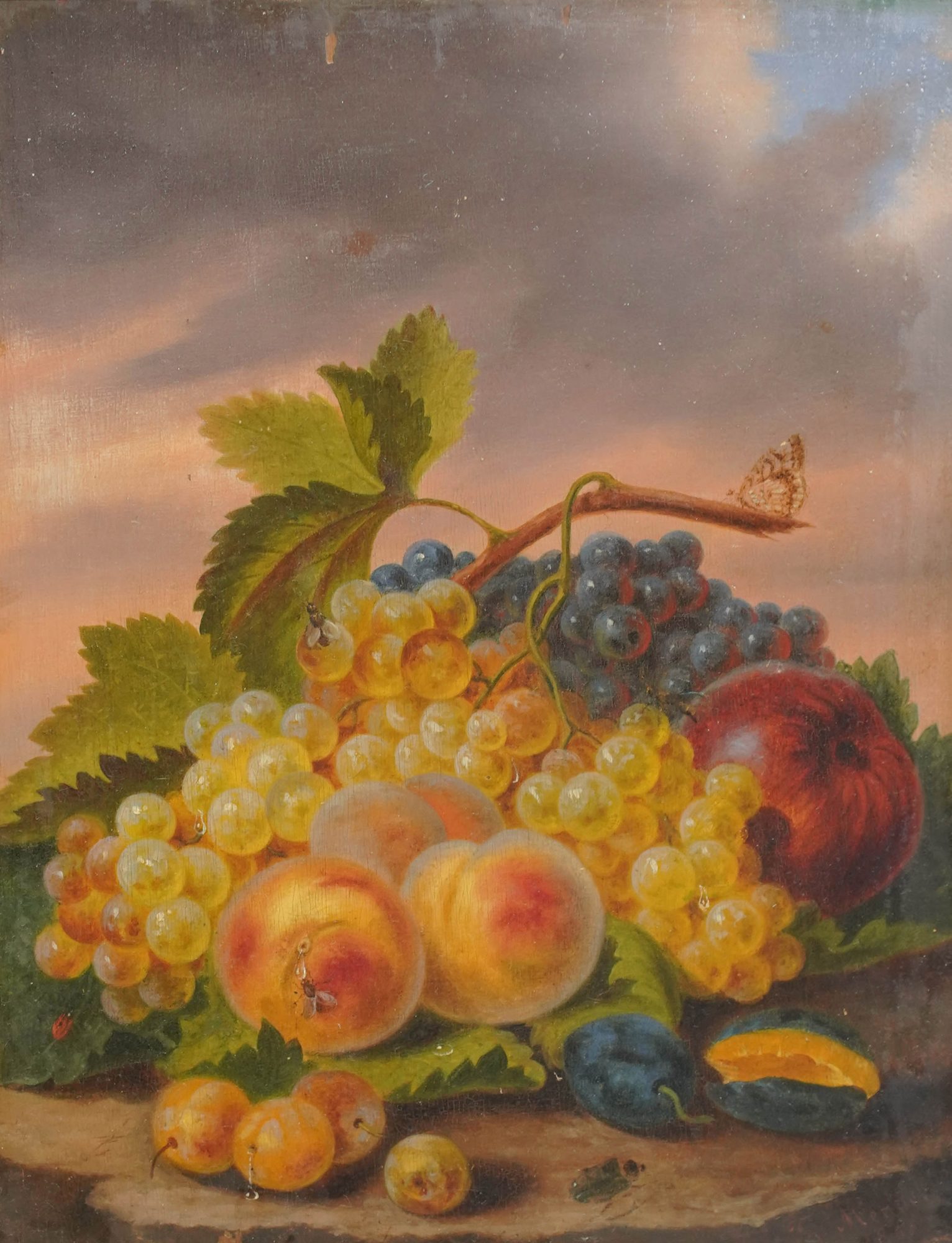 Still Life of Fruit